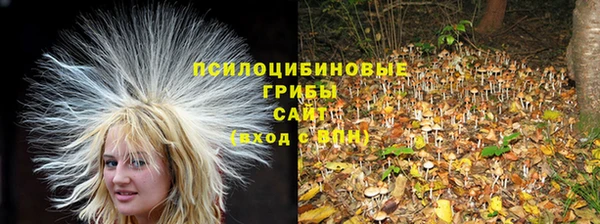 a pvp Касимов