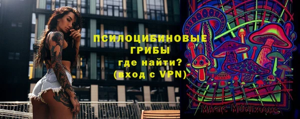 бошки Алексин
