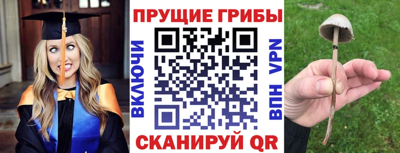 Псилоцибиновые грибы мухоморы  как найти закладки  MEGA как зайти  Киренск 